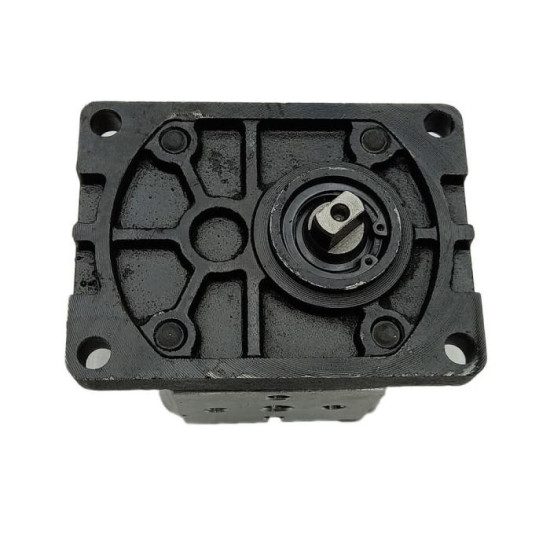 Насос гідравліки Сінтай 120 (CBN-306) (Насос НШ XT-120) Насос шестеренний Xingtai 120