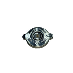 Кришка радіатора R185/190/192