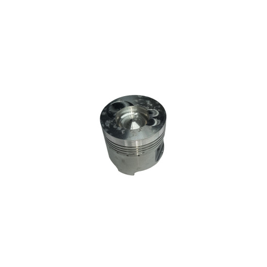 Поршень DW244B