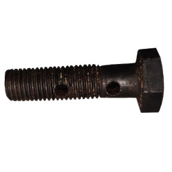Болт штуцерний М8х1 L30mm 2 отв, DW 150R