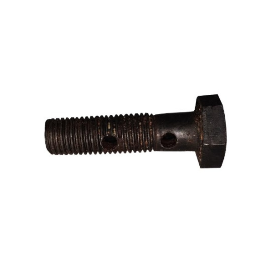 Болт штуцерний М8х1 L30mm 2 отв, DW 150R
