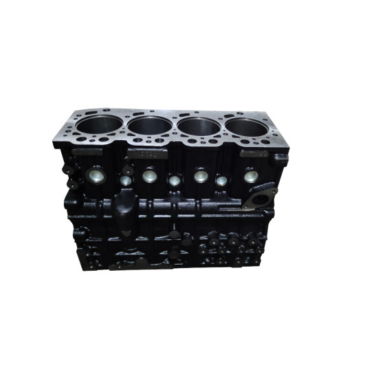 Блок циліндрів QC 495 T50
